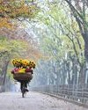 Mùa thu Hà Nội qua chín không gian trải nghiệm