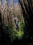 First Vietnamese joins World Press Photo Contest jury