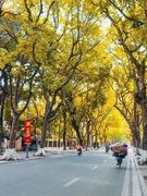First Hanoi Autumn Festival to take place in late September