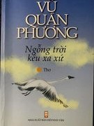 Buồn vui đừng tính vào khôn dại