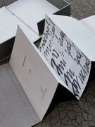 Anne Carson: Ý tưởng như một con cáo băng qua sân sau