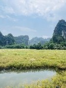Mùa xanh Tam Cốc