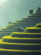 Mấy suy nghĩ về công tác tư tưởng -  văn hóa trong Quân đội với nhiệm vụ  bảo vệ Tổ quốc Việt Nam xã hội chủ nghĩa