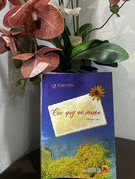 Late-Blooming Wild Sunflowers: A gentle tribute to ordinary soldiers
