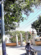 Tình quê, tình người trong trang văn Thanh Tịnh