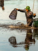 Đầm Trà Lộc trong mùa "phá trằm" 300 năm tuổi