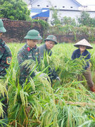 Nơi nắng ấm bừng lên