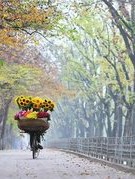 Mùa thu Hà Nội qua chín không gian trải nghiệm