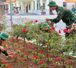 Sắc màu Trung đoàn 174