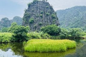 Mùa xanh Tam Cốc
