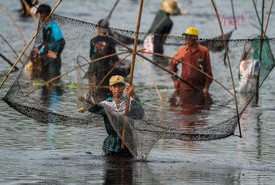 Đầm Trà Lộc trong mùa "phá trằm" 300 năm tuổi