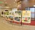 Photo exhibition on Dien Bien Phu Victory held