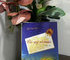 Late-Blooming Wild Sunflowers: A gentle tribute to ordinary soldiers