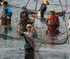 Đầm Trà Lộc trong mùa "phá trằm" 300 năm tuổi