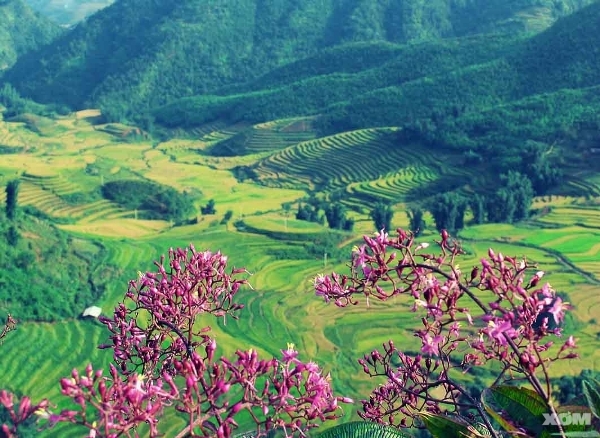 Với những vần thơ xuân