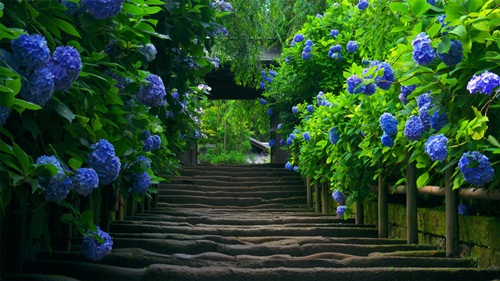 Beautiful nature