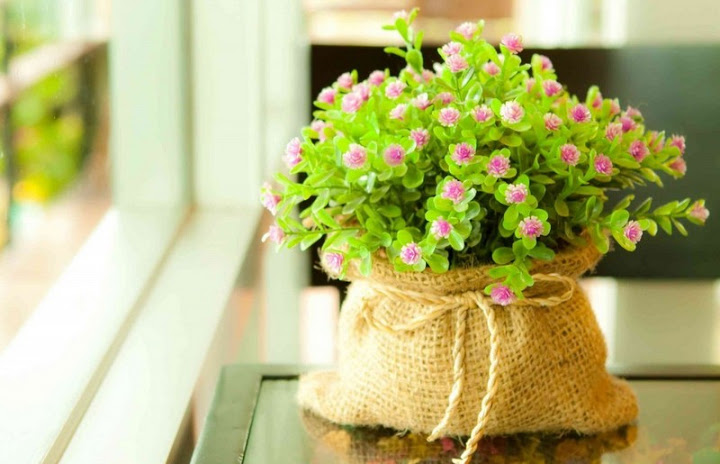 Những người cảm thời gian