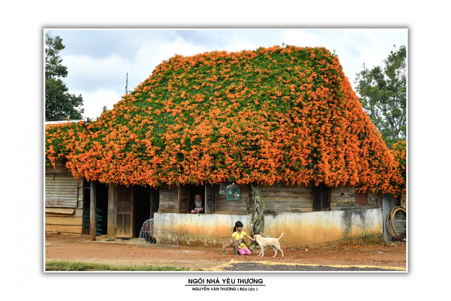 NGOI NHA YEU THUONG NGUYEN VAN THUONG