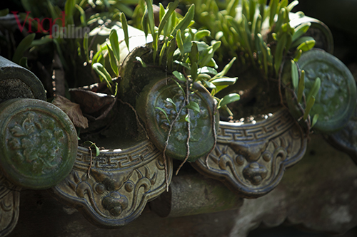 Bản sao IMG 1134