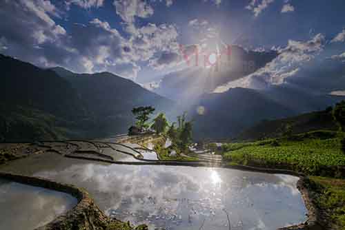Nhà của người Mông thường ở trên đỉnh núi, nơi họ canh tác trồng lúa, ngô