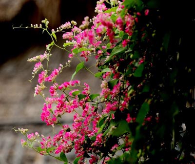 Một vài suy nghĩ về hiện thực đất nước và văn học nghệ thuật sau 1975