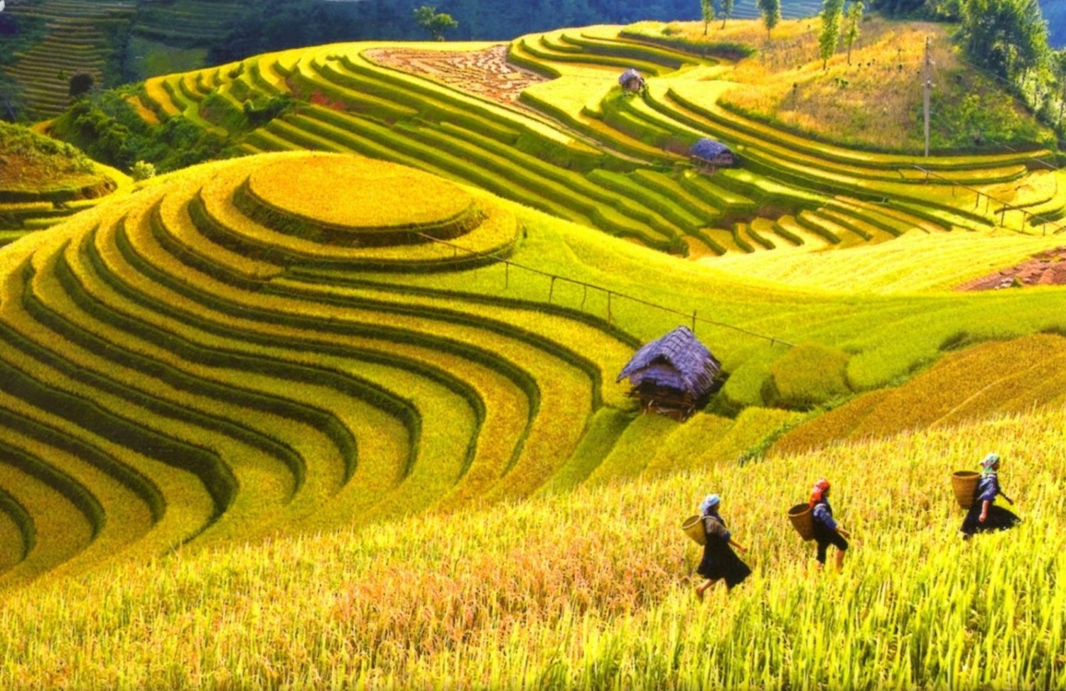 Chùm thơ của tác giả Nguyễn Trọng Văn